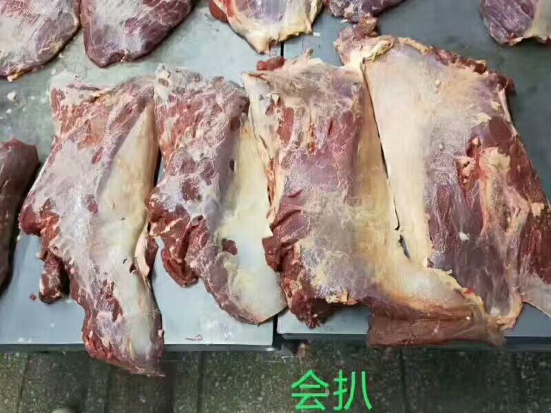 马肉九分体