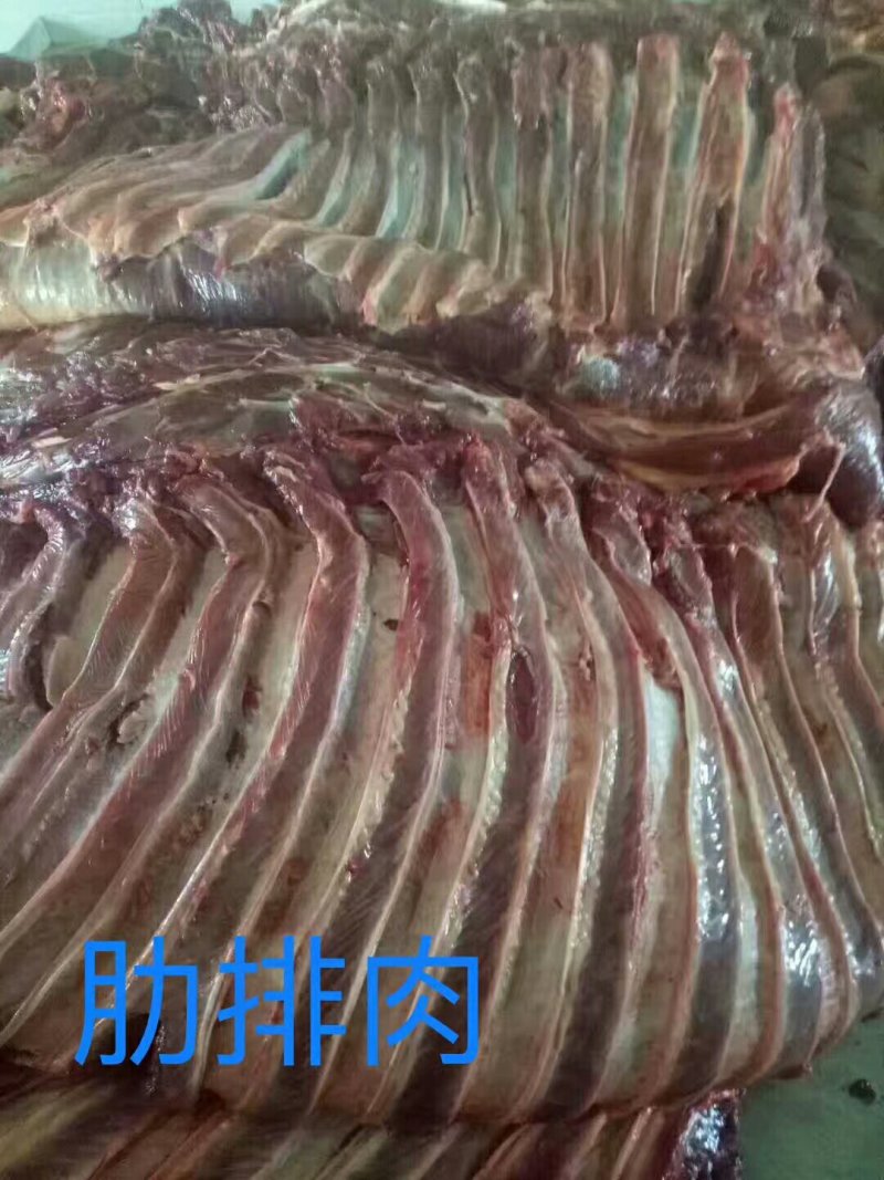 马肉九分体