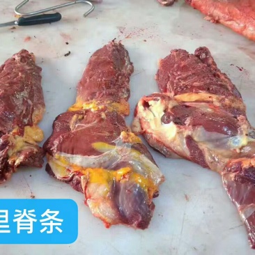 马肉九分体