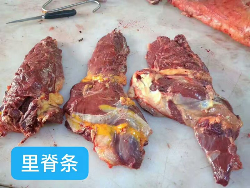 马肉九分体