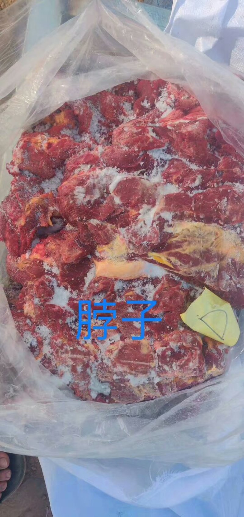 马肉九分体