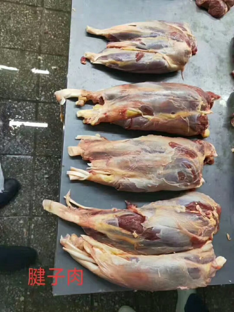 马肉九分体