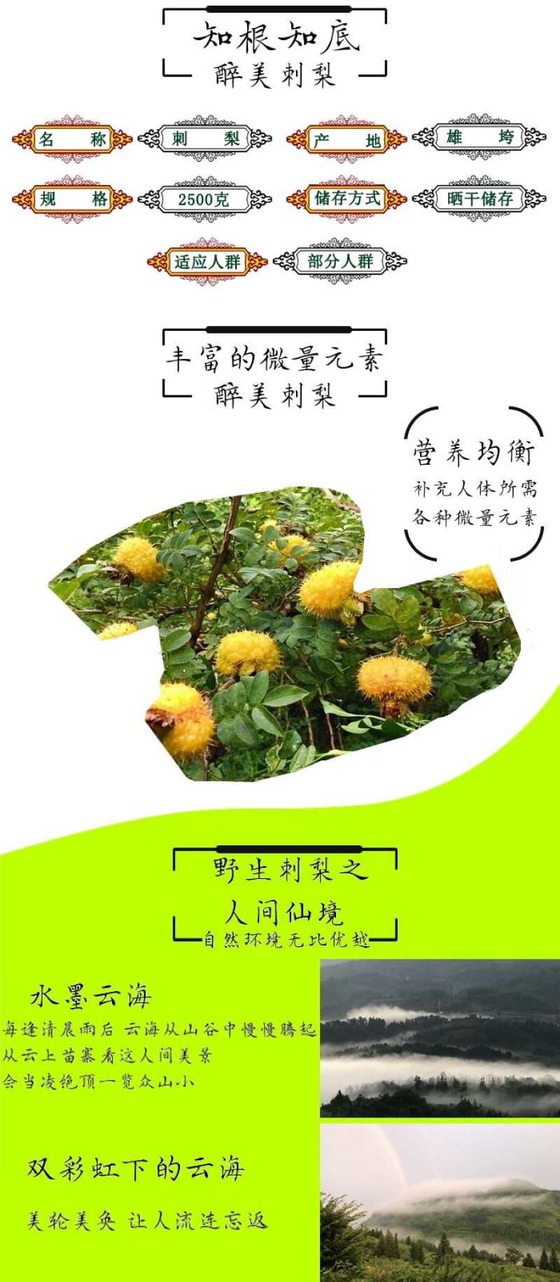 刺梨金刺梨新鲜刺梨野生刺梨刺梨鲜果