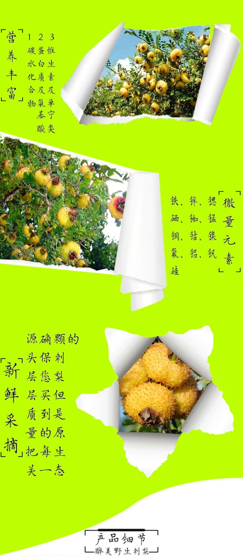 刺梨金刺梨新鲜刺梨野生刺梨刺梨鲜果