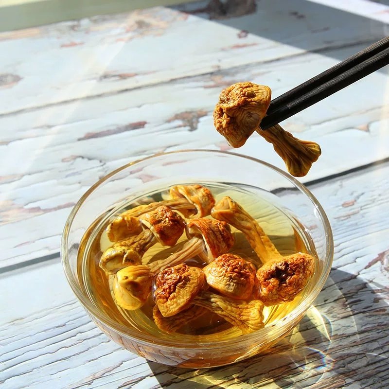 姬松茸2019年新货姬松茸量大从优