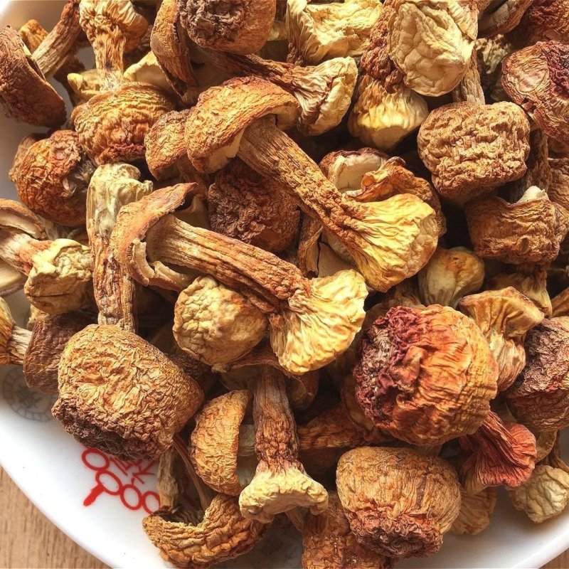 姬松茸2019年新货姬松茸量大从优