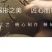 蒲公英茶正品40g*2高档送礼