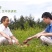 蒲公英茶正品40g*2高档送礼