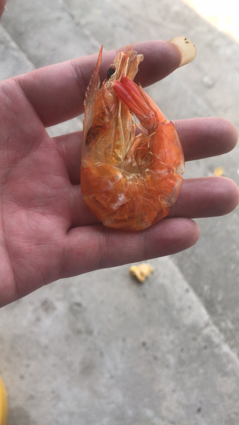 干虾