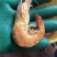 干虾