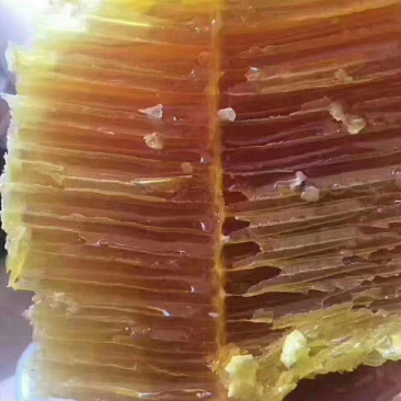 蜂蜜，老挝野生蜂蜜，缅甸野生蜂蜜，云南野生