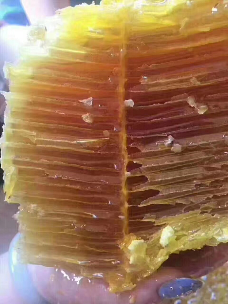 蜂蜜，老挝野生蜂蜜，缅甸野生蜂蜜，云南野生