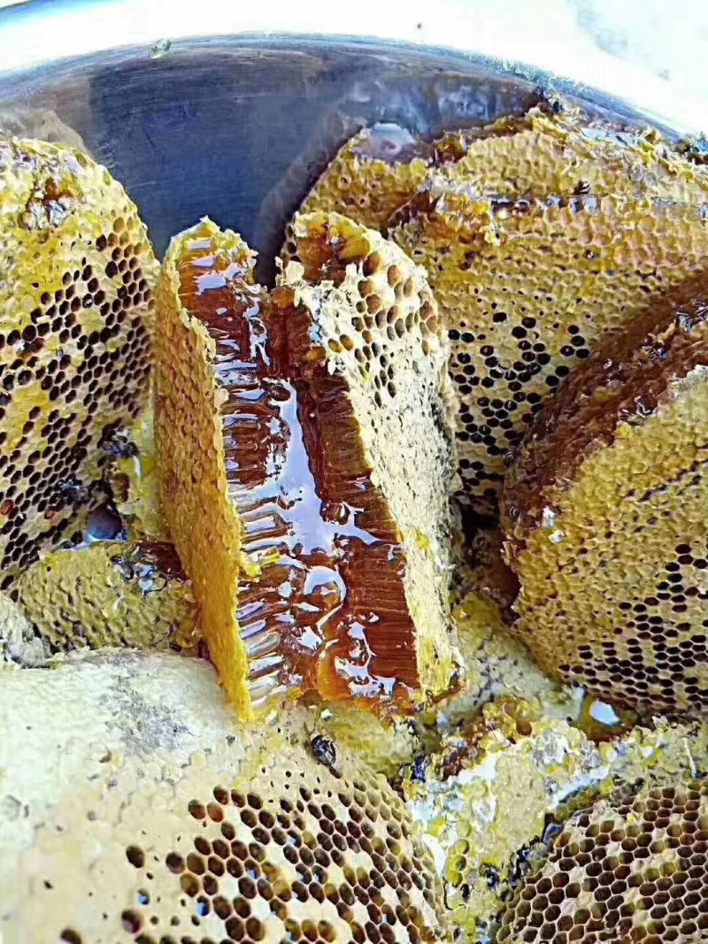 蜂蜜，老挝野生蜂蜜，缅甸野生蜂蜜，云南野生