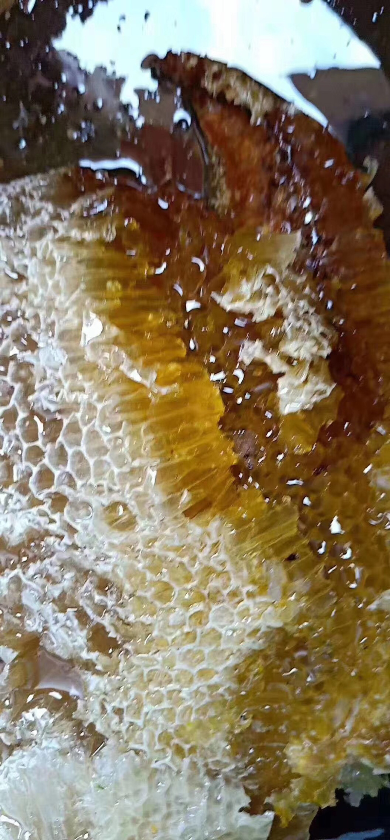 蜂蜜，老挝野生蜂蜜，缅甸野生蜂蜜，云南野生