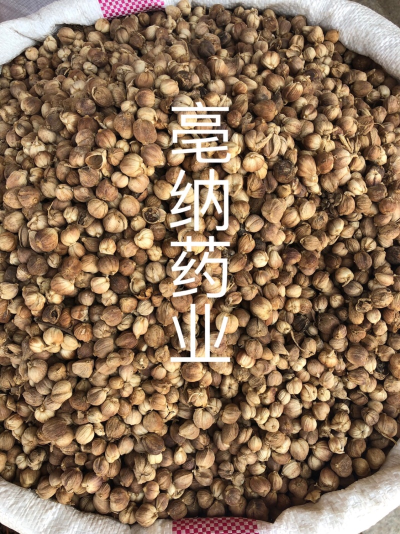 白蔻香料大全白豆蔻白蔻十三香卤肉料1⃣️公斤起批