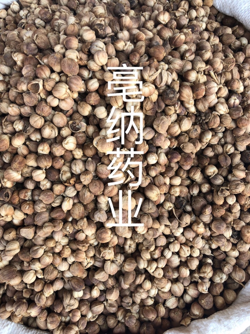 白蔻香料大全白豆蔻白蔻十三香卤肉料1⃣️公斤起批