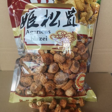 云南干姫松茸巴西菇食用菌松茸菌/袋500克