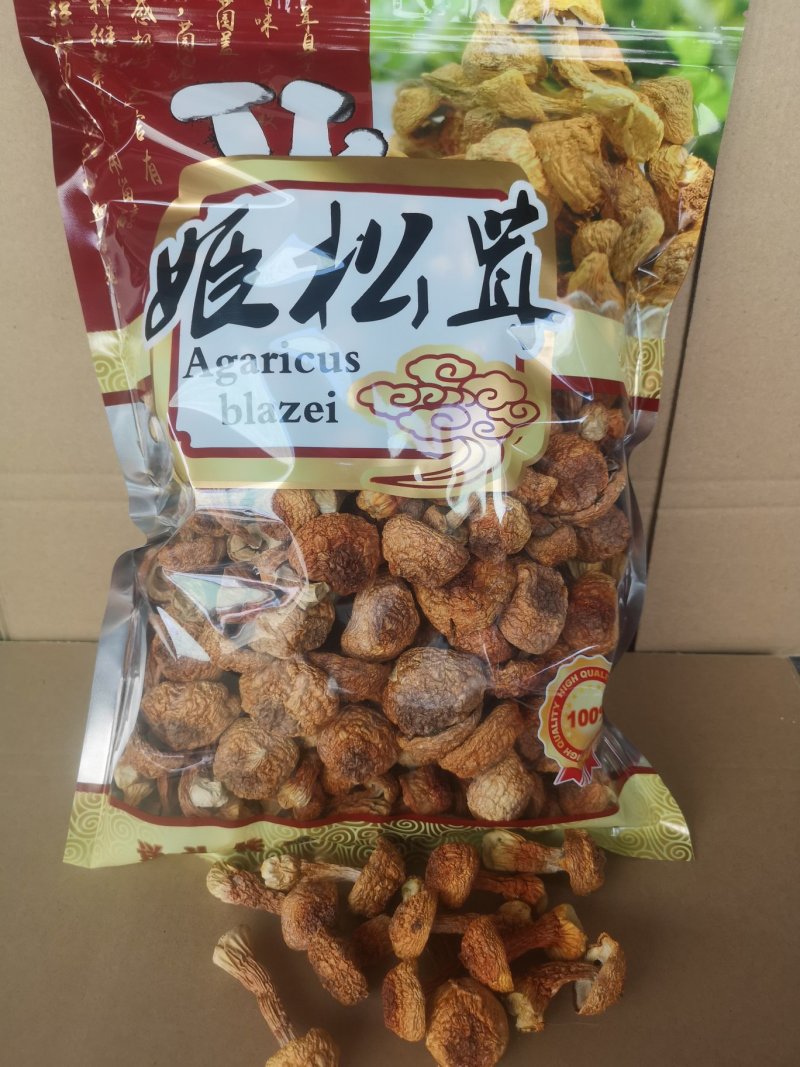 云南干姫松茸巴西菇食用菌松茸菌/袋500克