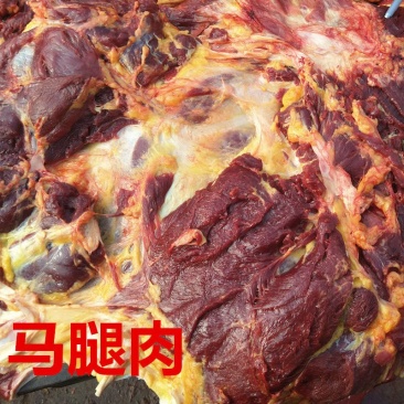 河北特产正宗散养新鲜现杀带皮不带皮马肉生马肉包邮