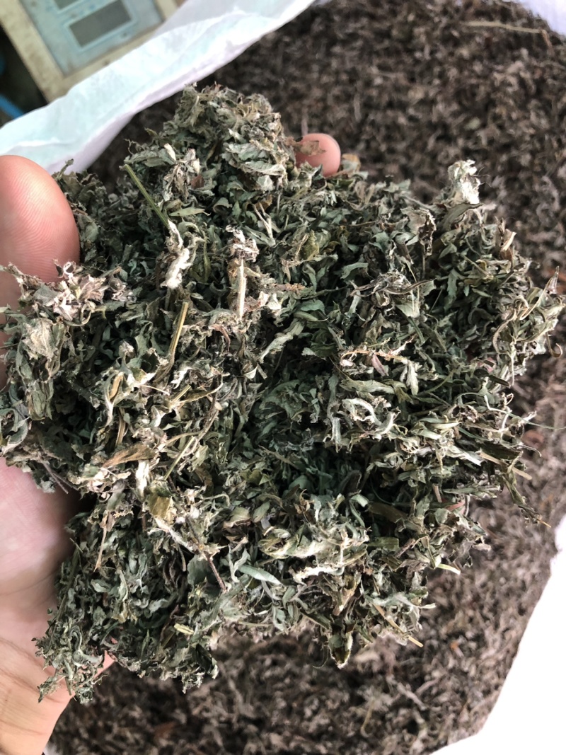 【艾叶】艾叶量大从优各种规格物美价廉