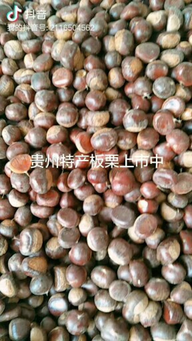 板栗