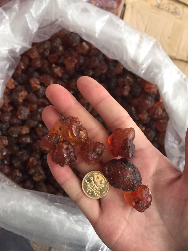 桃胶巨无霸超大颗