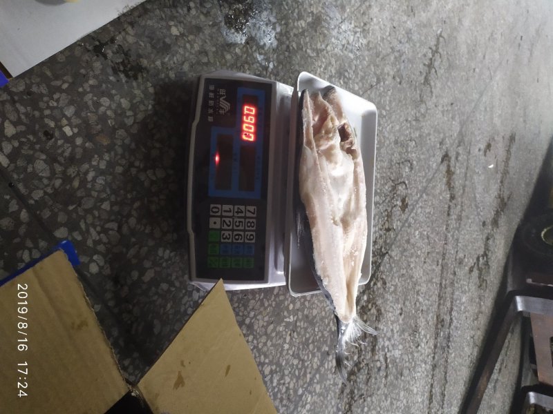 开背巴沙鱼