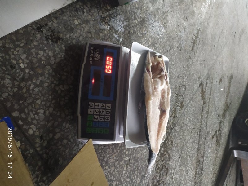 开背巴沙鱼