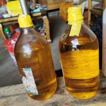 高山野生红花茶油