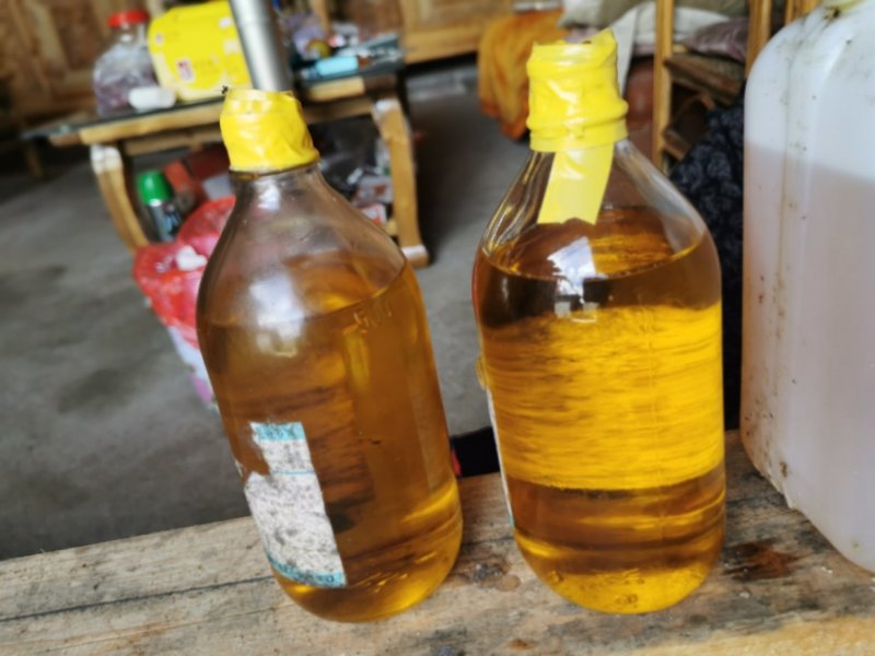 高山野生红花茶油