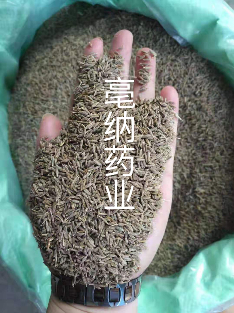 香料大全新疆孜然粒调味料