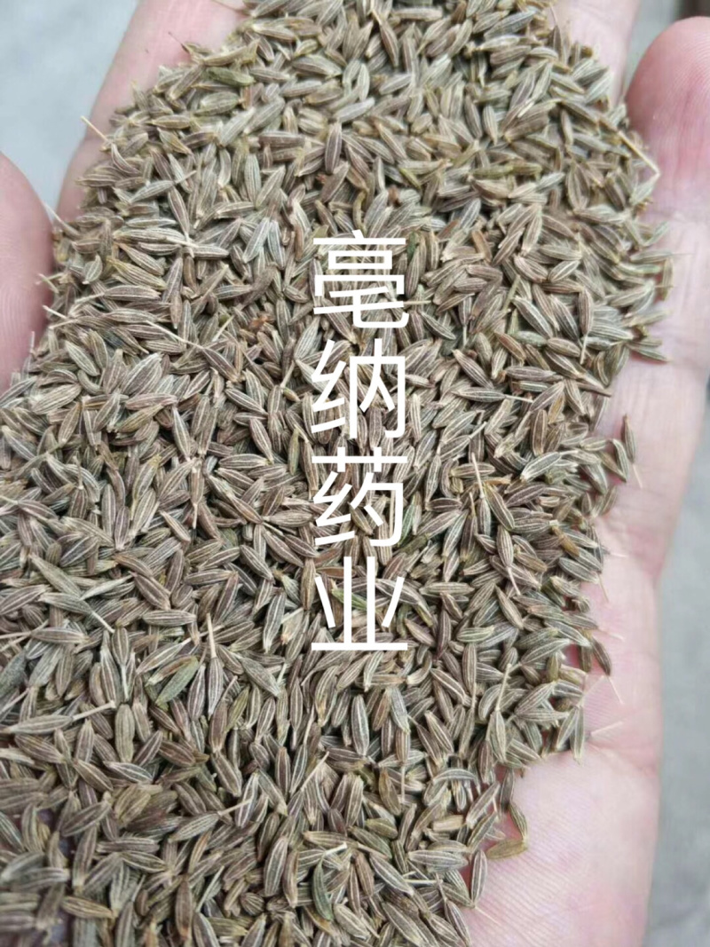 香料大全新疆孜然粒调味料