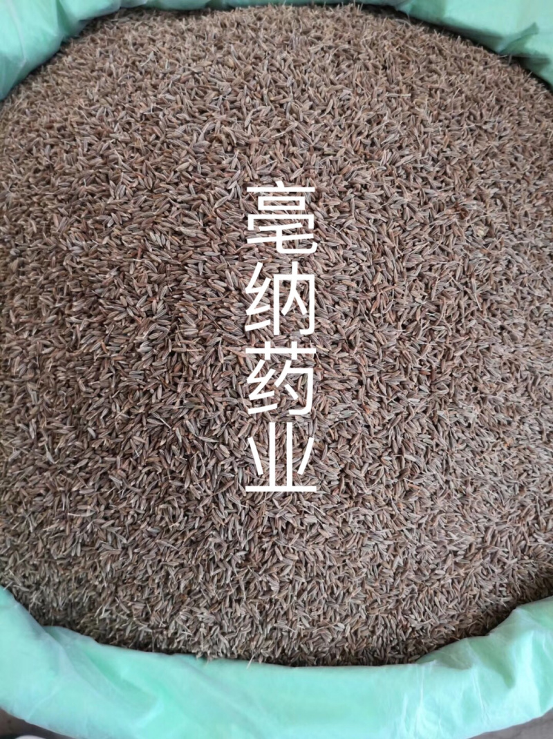 香料大全新疆孜然粒调味料