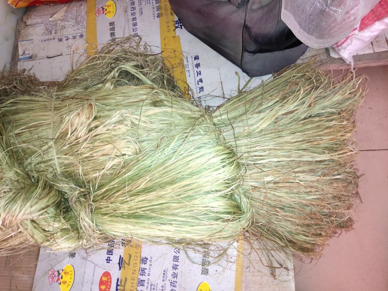 【精品苎麻】纯手工原麻，麻丝，量大从优，长期供应