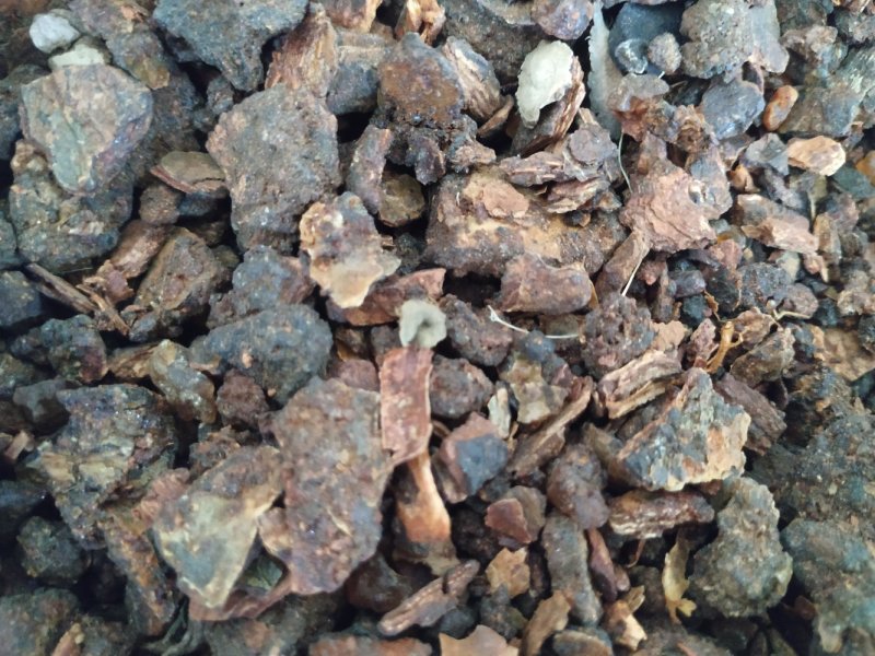 同奎中药材没药各种药材量大从优