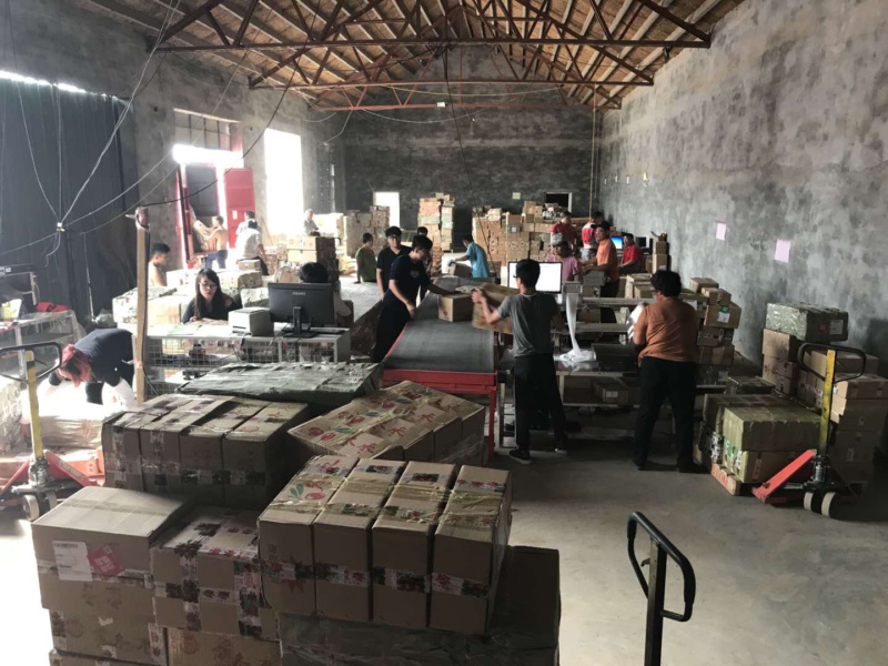 【一件代发】沾化冬枣产地直发一手货源欢迎下单