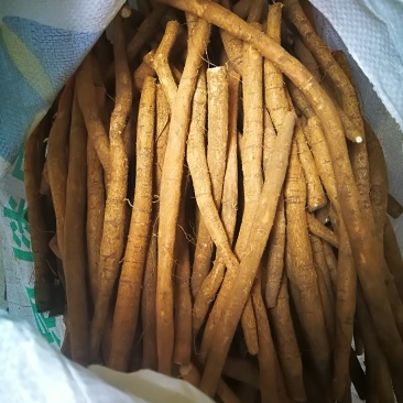 牛大力鲜货小牛小条牛大力鲜牛大力