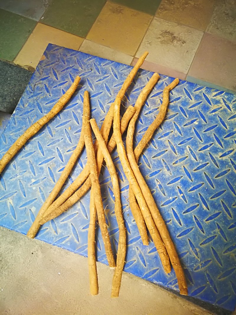 牛大力鲜货小牛小条牛大力鲜牛大力