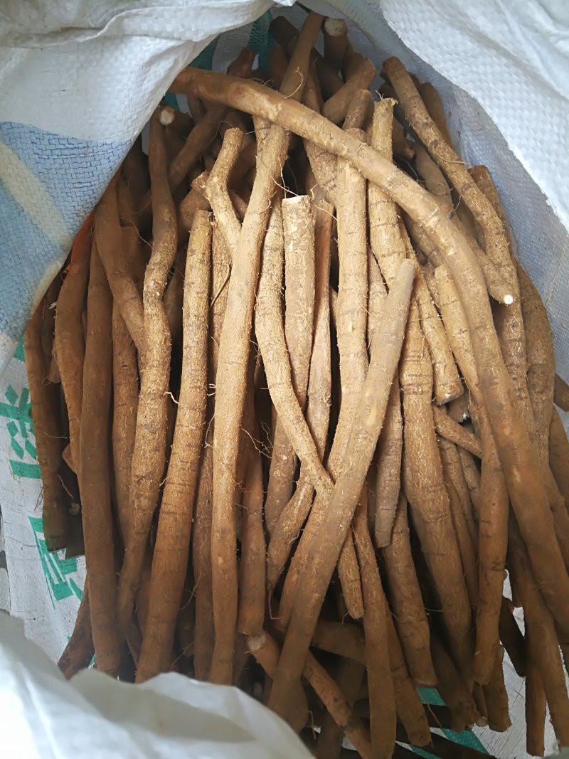 牛大力鲜货小牛小条牛大力鲜牛大力