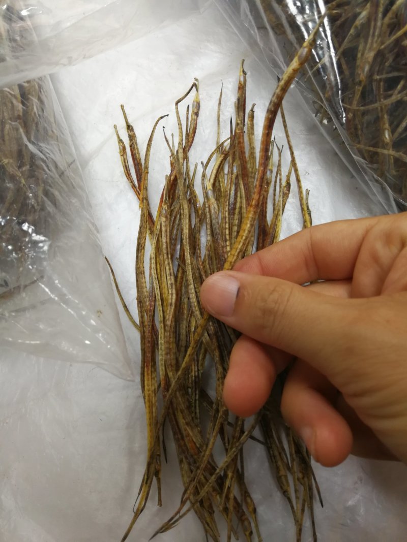 海龙小海龙可泡酒可煲汤包邮