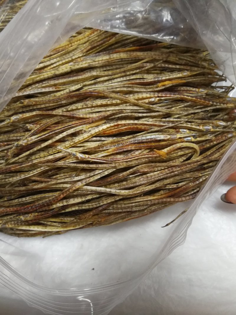 海龙小海龙可泡酒可煲汤包邮