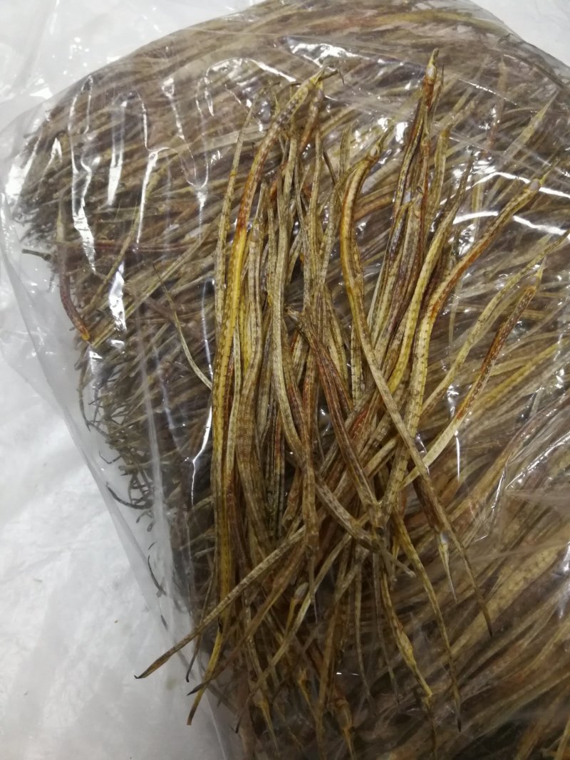 海龙小海龙可泡酒可煲汤包邮