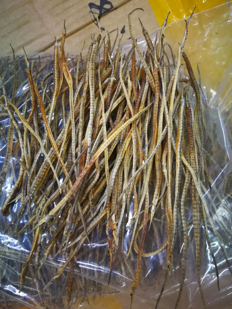 海龙小海龙可泡酒可煲汤包邮