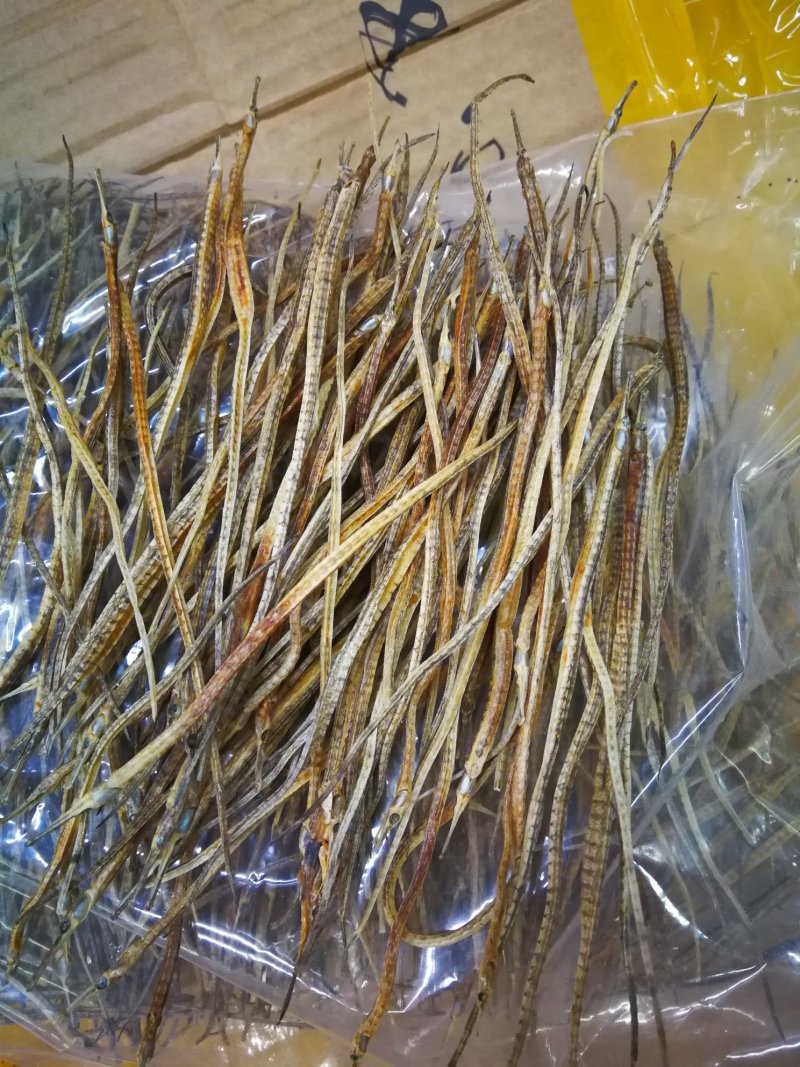 海龙小海龙可泡酒可煲汤包邮