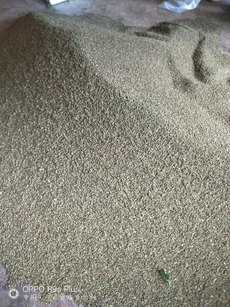 青花椒