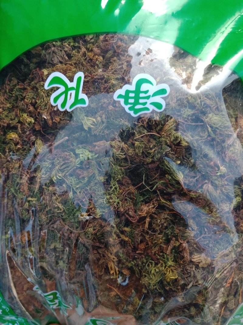 冷背中药材回心草回芯草云南各种规格批发零售各种规格中药材