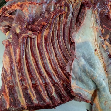 马肉