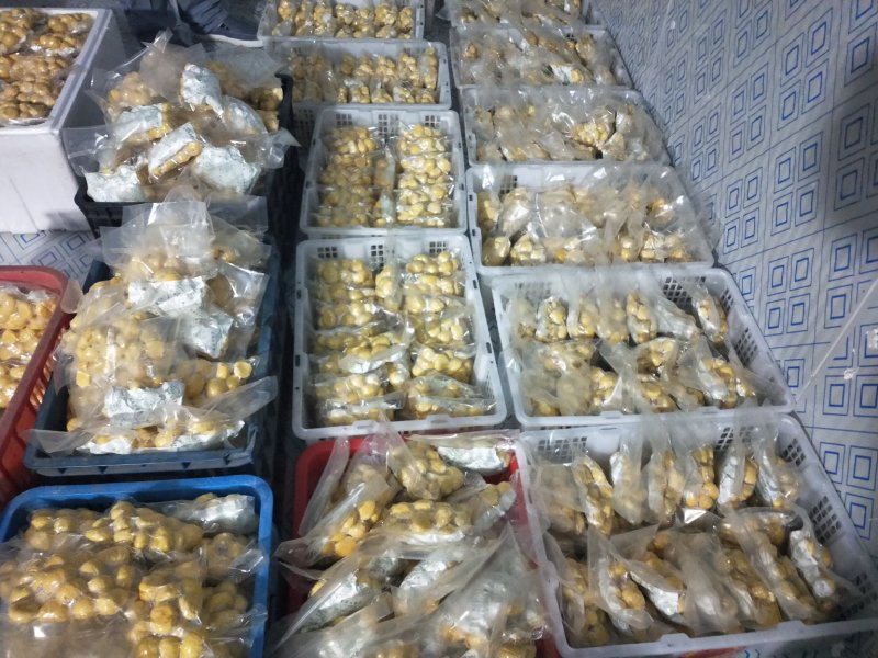 板栗菜栗种真空板栗，社区团购、电商供货，一件代发