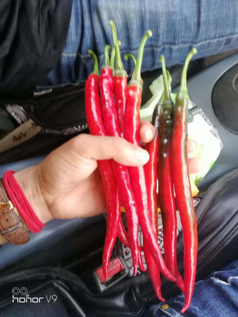 鲜红辣椒
