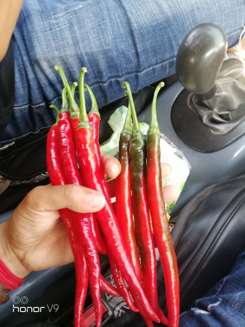 鲜红辣椒